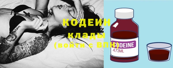 дживик Арсеньев