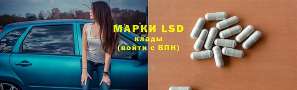спиды Аркадак
