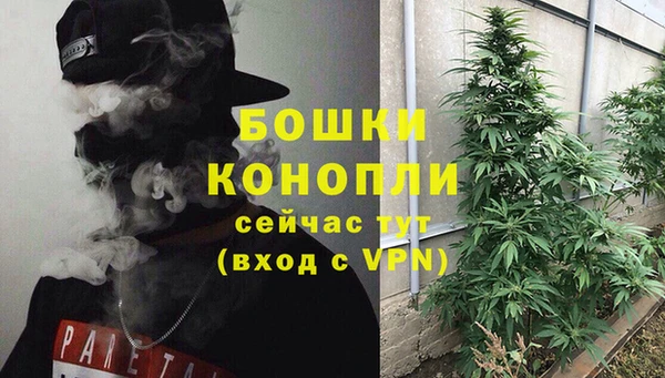 спиды Аркадак